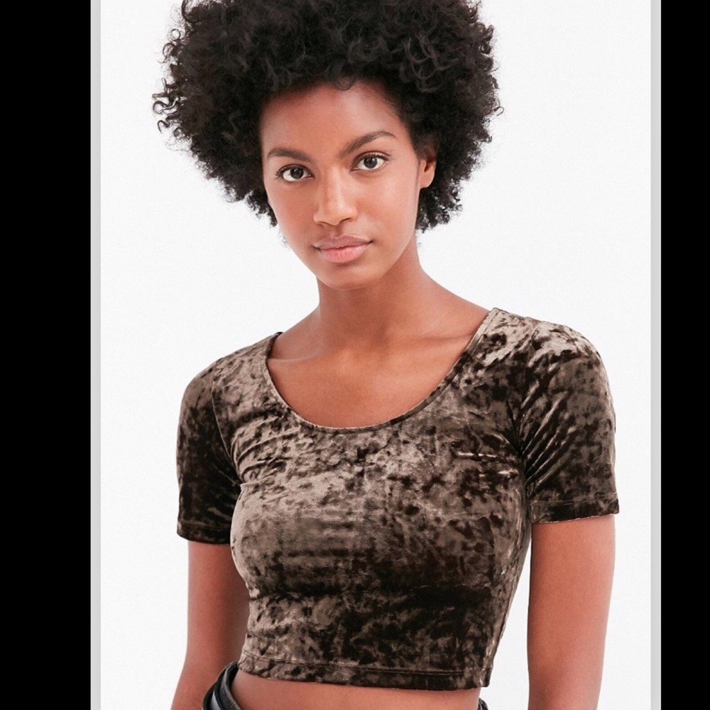 Silence and Noise UO Crushed Velvet Crop Top